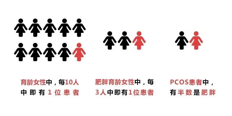 b380a9de660aa2e7125b0d3cbed46e2.png