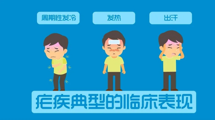 （挂网稿）疟疾防治知识科普(1)645.png