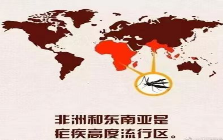 （挂网稿）疟疾防治知识科普(1)866.png