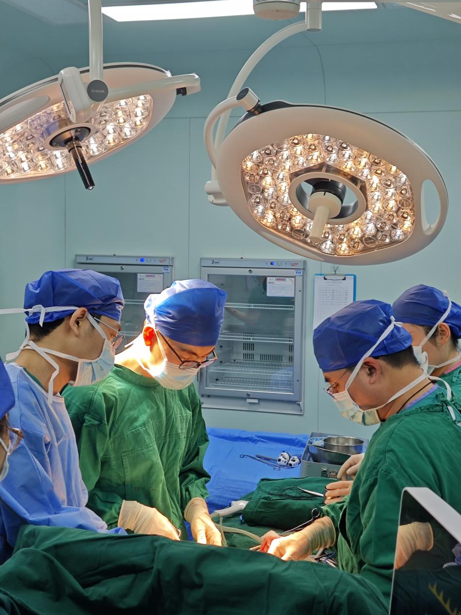 图片1.png 图片1.png