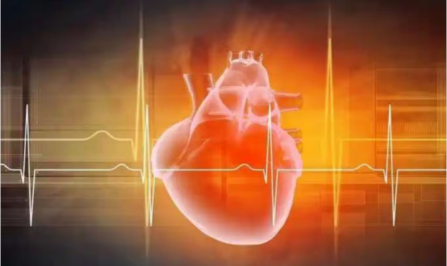 （挂网稿）别让“隐形危机”夺走健康！冠脉 CTA+AI筛查，揪出冠心病早期隐患404.png